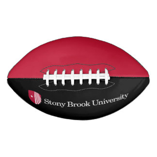 Stony Brook University | Wordmark Football