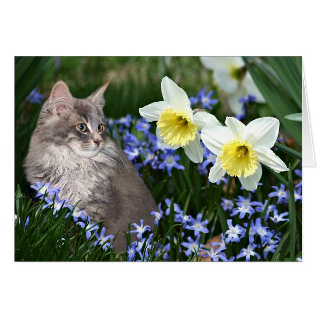 Stop and smell the flowers (Front Horizontal)