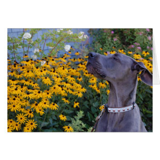 Stop and Smell the Flowers Card