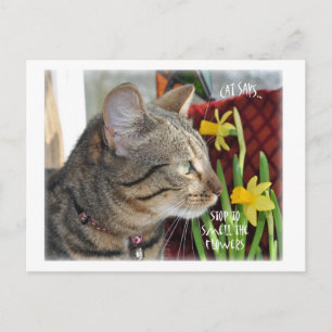 Stop and Smell the Flowers Postcard