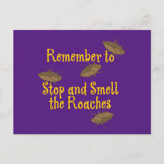 Stop and Smell the Roaches Purple BG Postcard