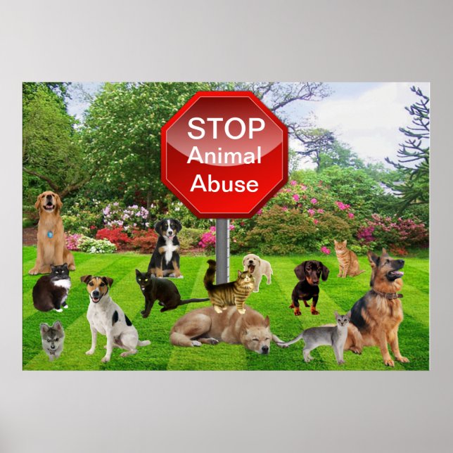 Stop Animal Abuse Poster (Front)