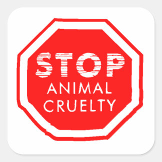 Stop Animal Cruelty Square Sticker