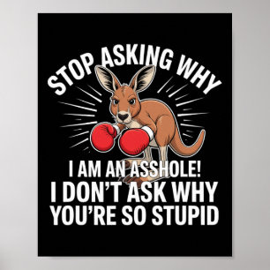 Stop Asking Why I Am An Hole Poster