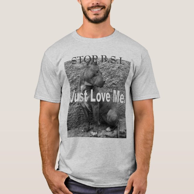 STOP B.S.L T-Shirt (Front)