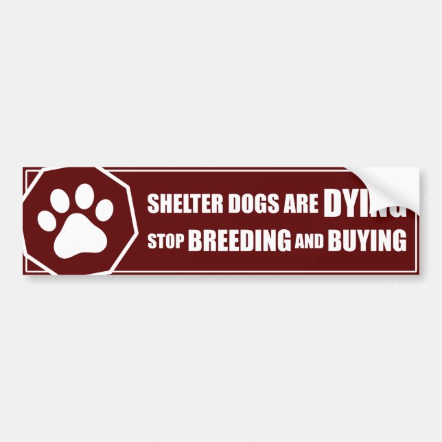 "Stop Breeding and Buying" Bumper Sticker (Front)