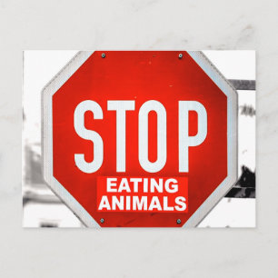 Stop Eating Animals Vegetarian Vegan Postcard