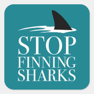 STOP FINNING SHARKS SQUARE STICKER