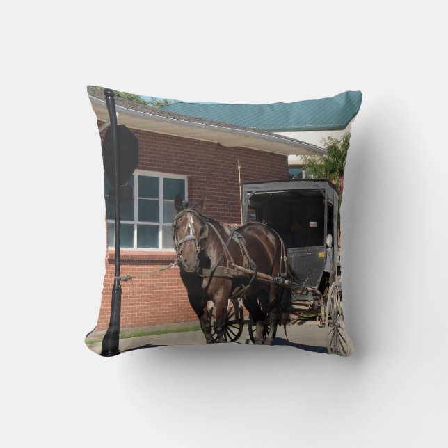 Stop For a Spell, Amish Buggy Horse Cushion (Front)