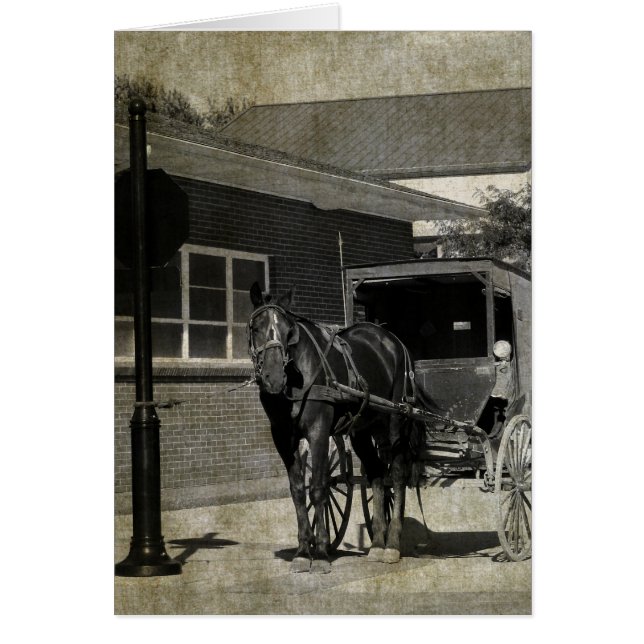 Stop for A Spell, Amish Horse at Stop Sign (Front)