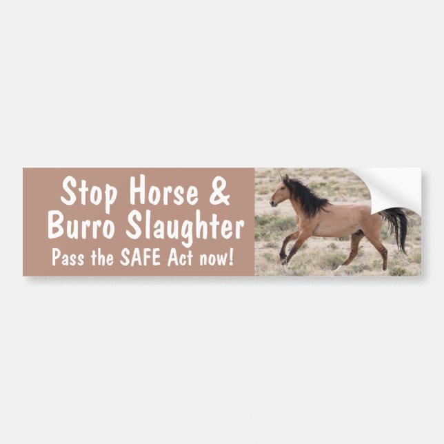 Stop Horse Slaughter Bumper Sticker (Front)