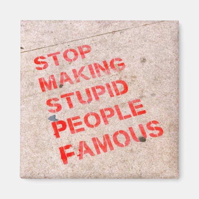 Stop Making Stupid People Famous - Funny humour Magnet (Front)