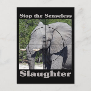 Stop Slaughter-Elephant Postcard