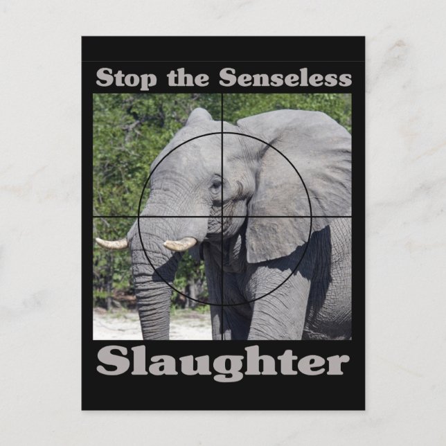 Stop Slaughter-Elephant Postcard (Front)