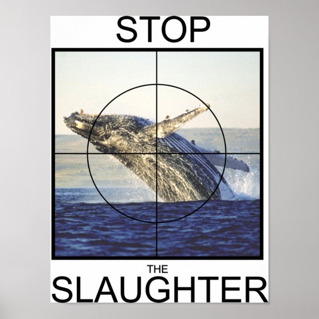 Stop Slaughter-whales Poster (Front)