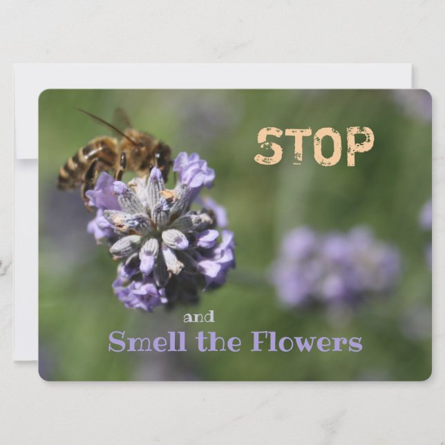 Stop Smell Flowers Quote (Front)