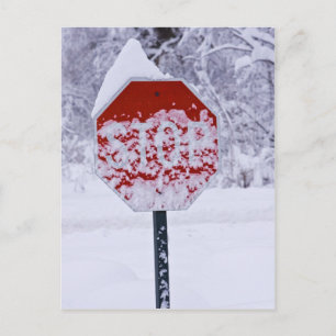 Stop Snowing! Postcard