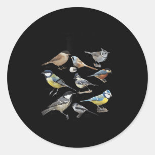 Stop Staring At My Funny Birds Lover Saying Quote  Classic Round Sticker