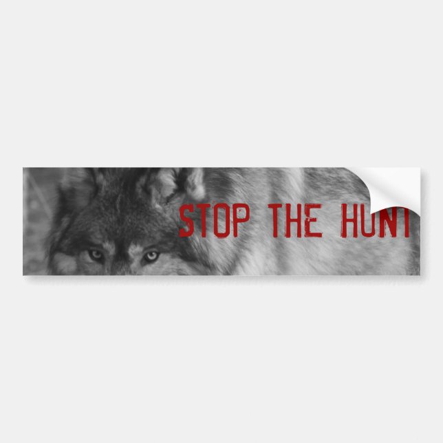 "StoP THE HUNT" Wild Wolf Bumper Sticker (Front)