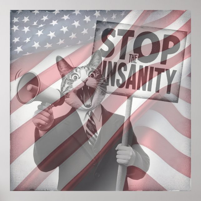 Stop the Insanity Poster (Front)