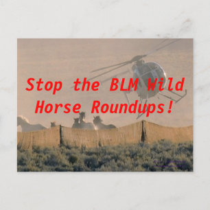 STOP THE ROUNDUP POSTCARD