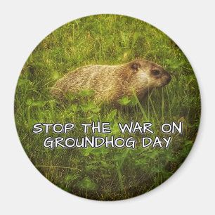 Stop the war on groundhog day magnet
