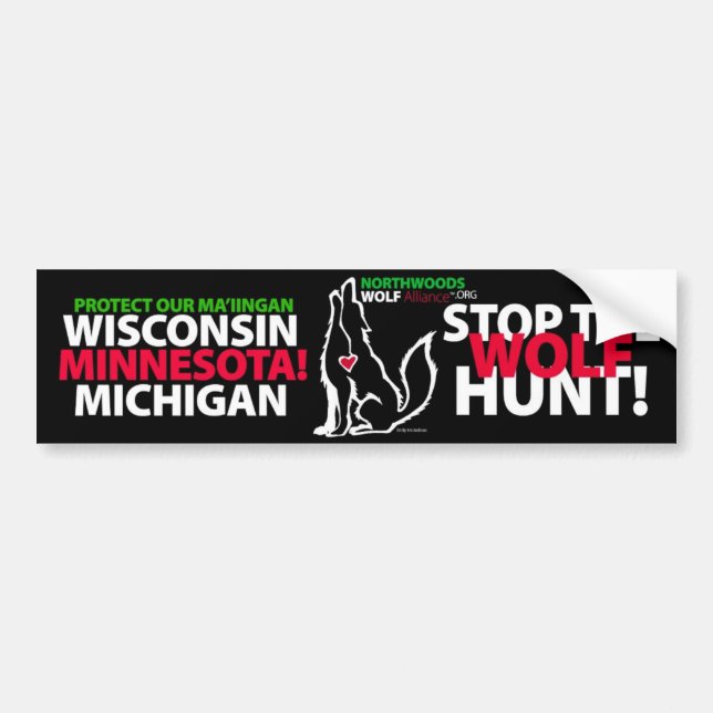 STOP THE WOLF HUNT MINNESOTA - MA'IINGAN BUMPER STICKER (Front)