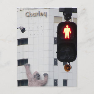 STOP There is a gorilla on the wall! Postcard