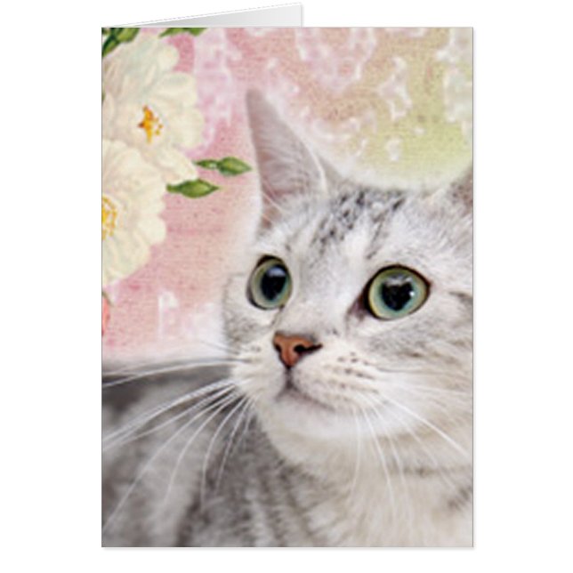 Stop To Smell The Roses (Front)