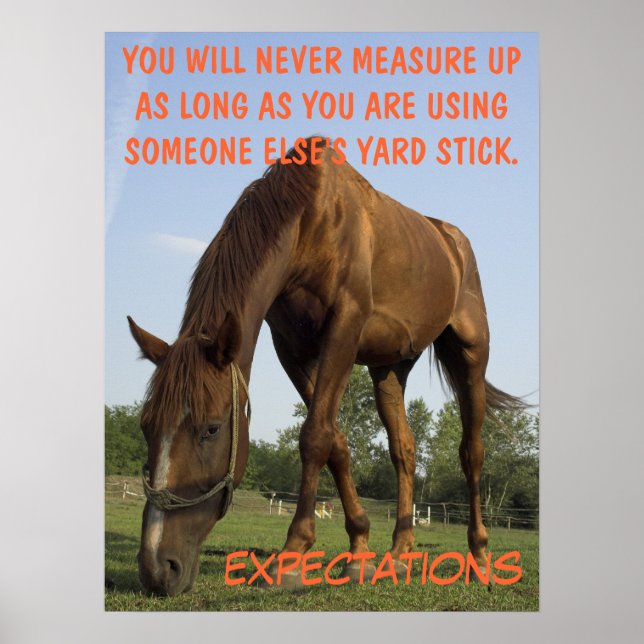 Stop trying to meet other people's expectation (L) Poster (Front)