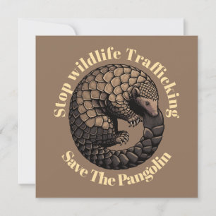 Stop wildlife trafficking - Save the pangolin