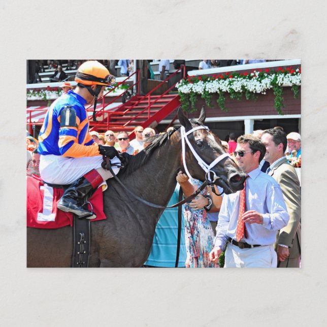 Stopchargingmaria victorious in her first race. postcard (Front)