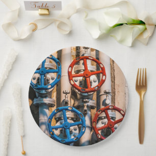 Stopcock in the Schiffbau, Zurich Paper Plate