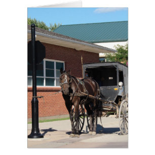 Stopped for a Spell, An Amiish Horse at stop sign