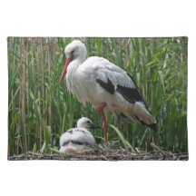 Storch