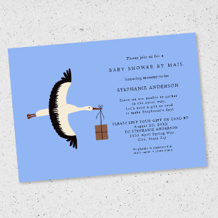 Stork and package Baby Shower by mail Invitation
