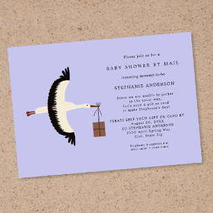 Stork and package Baby Shower by mail Invitation