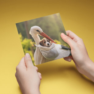 Stork and puppy, customisable holiday card
