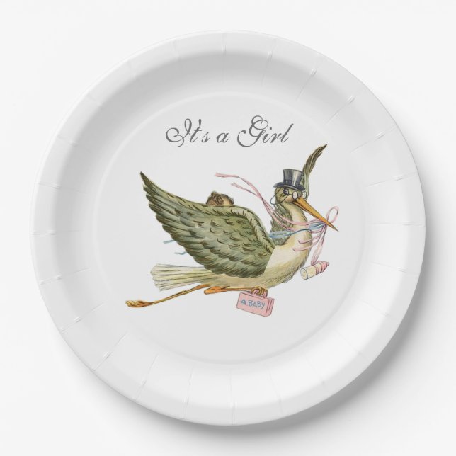 STORK BABY GIRL SHOWER White Paper Plate (Front)