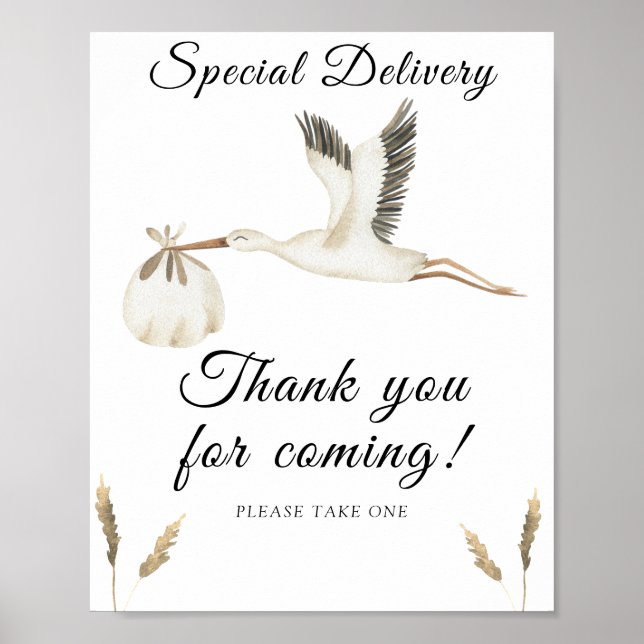 stork baby shower - thank you for coming  poster (Front)