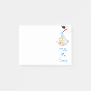 Stork Carrying Baby Funny Sticky Notes