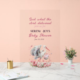 Stork Delivering a Baby Girl Acrylic Sign