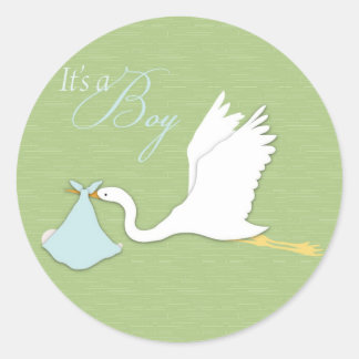 Stork Delivers Boy Sticker