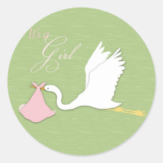 Stork Delivers Girl Sticker