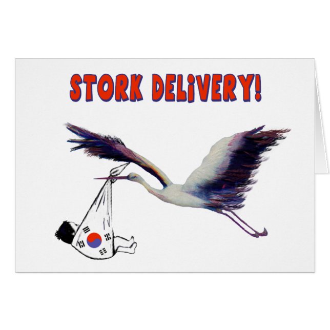 Stork Delivery! Adoption from Korea Homecoming  (Front Horizontal)