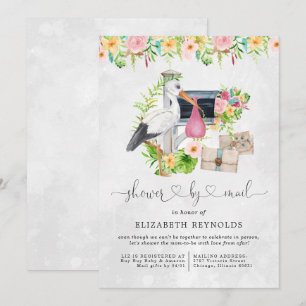 Stork Delivery Virtual Baby Shower by Mail Invitation