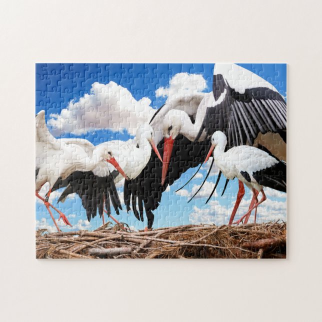 Stork Family, Jigsaw Puzzle (Horizontal)