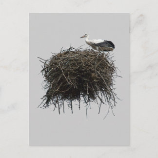 stork nest postcard