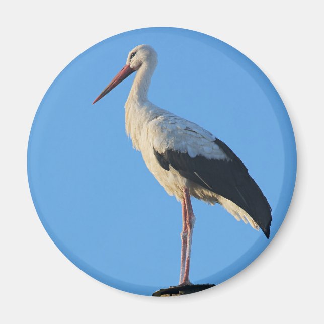 Stork on pole magnet (Front)