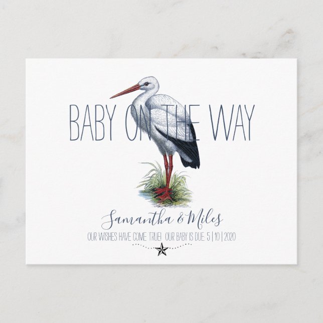 Stork Pregnancy Announcement Postcard (Front)